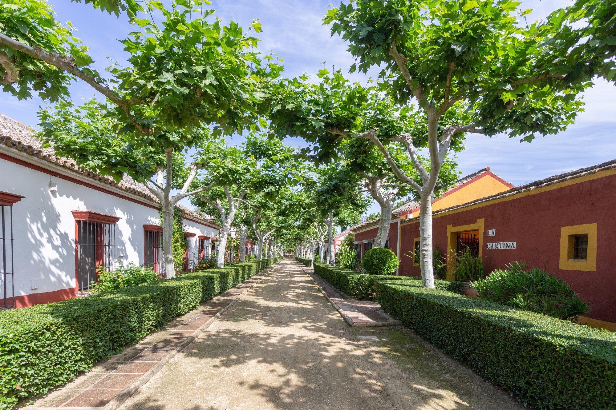 El Cortijo De Los Mimbrales Hotel Almonte Zewnętrze zdjęcie