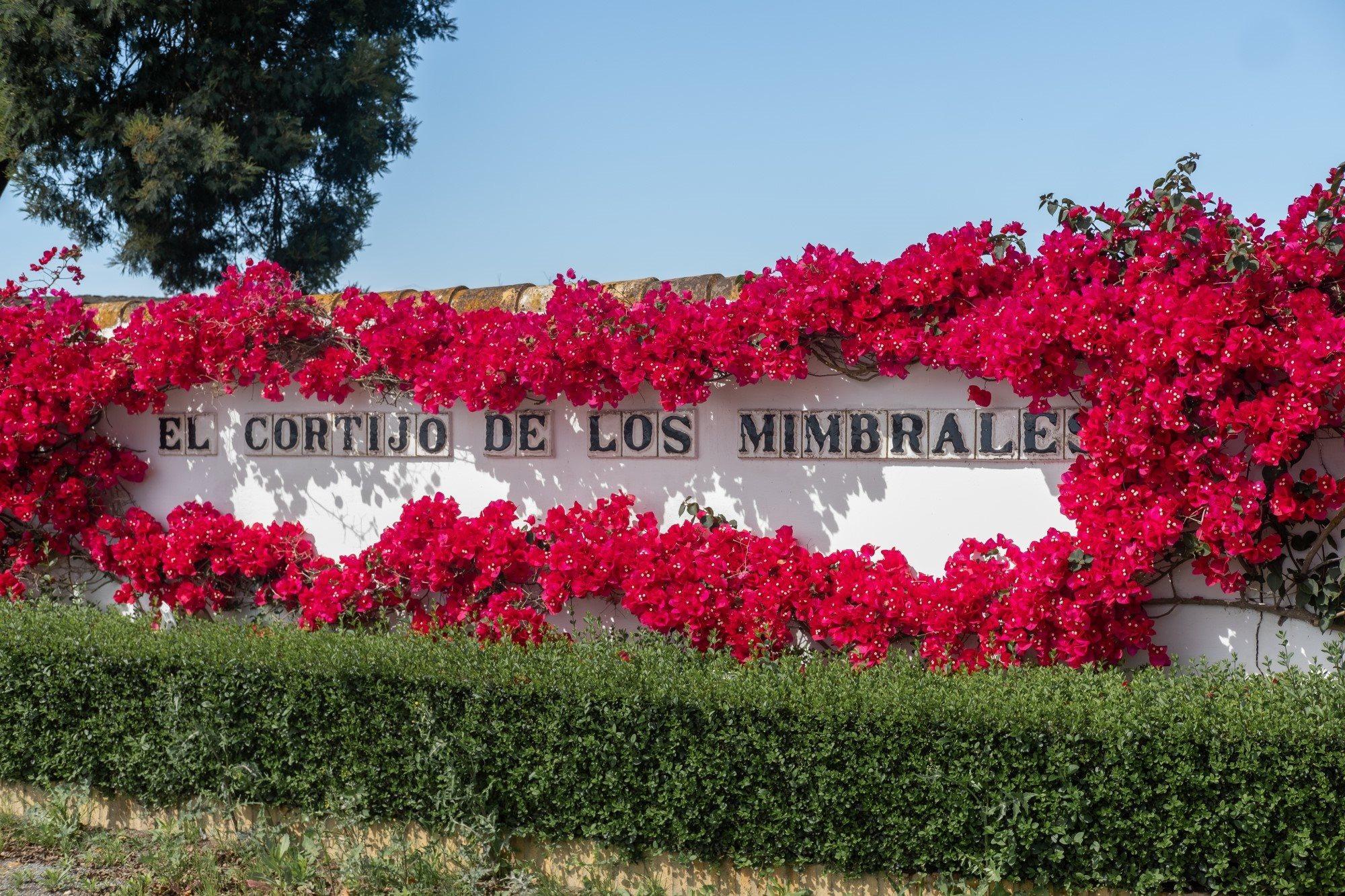 El Cortijo De Los Mimbrales Hotel Almonte Zewnętrze zdjęcie