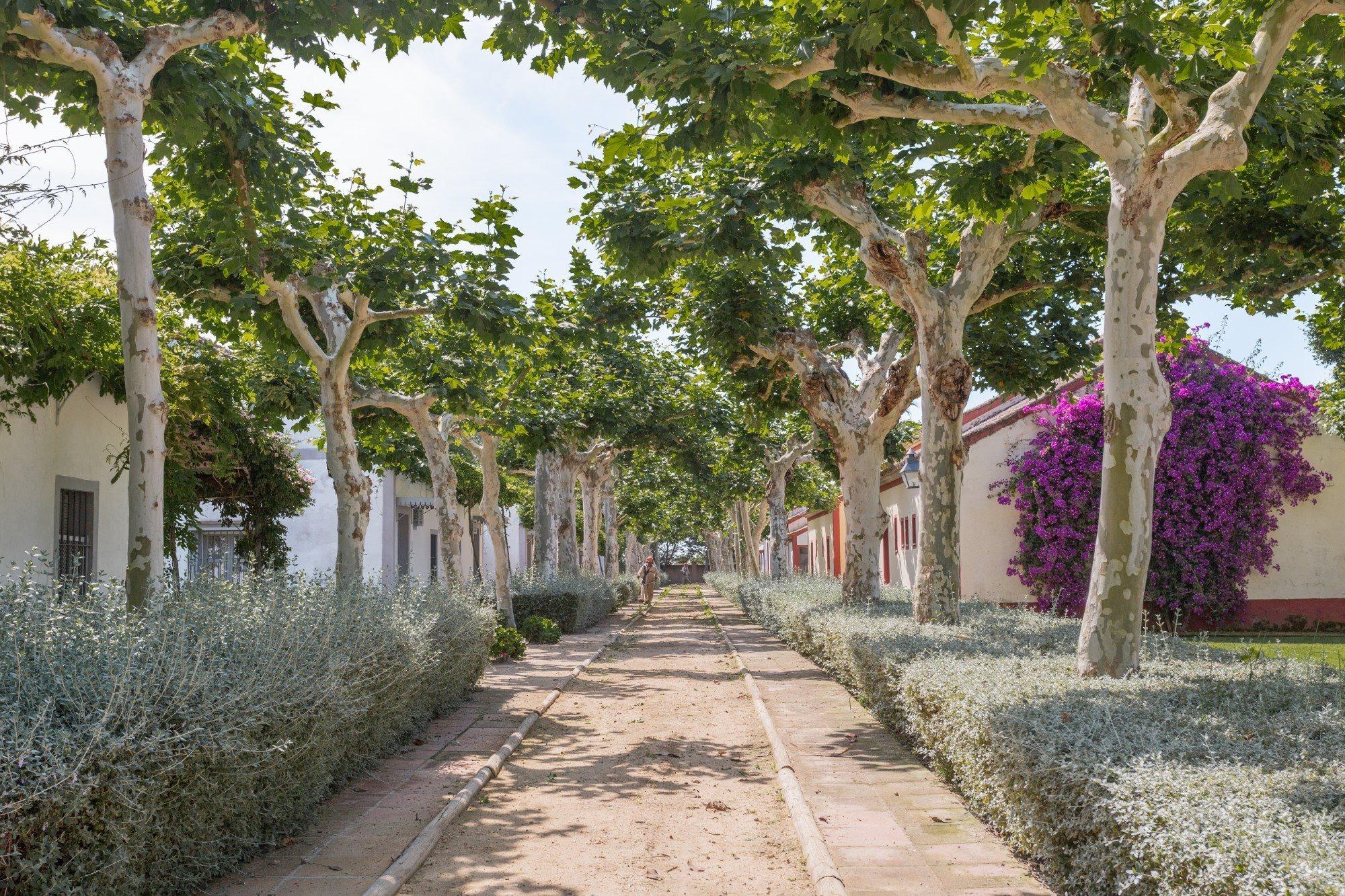 El Cortijo De Los Mimbrales Hotel Almonte Zewnętrze zdjęcie